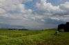 Landschaft im Allgäu