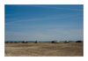 am Strand von Salin-de-Giraud