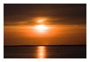 Flamingos bei Salin-de-Giraud im Sonnenuntergang