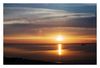 Flamingos bei Salin-de-Giraud im Sonnenuntergang