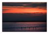 Flamingos bei Salin-de-Giraud im Sonnenuntergang