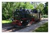 Zittauer Schmalspurbahn bei Jonsdorf, Dampfeisenbahn