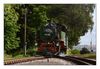 Zittauer Schmalspurbahn bei Jonsdorf