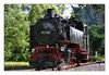 Zittauer Schmalspurbahn bei Jonsdorf