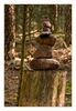 Steinmännchen im Wald bei Mont Sainte Odile