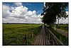 Steg zum Federsee