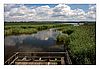 Federsee