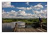 Federsee