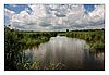 Federsee