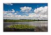 Federsee