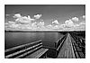 Federsee