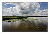 Federsee