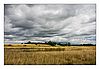 Landschaft um den Federsee