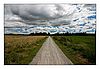 Landschaft um den Federsee