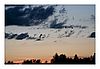 Landschaft am Federsee im Abendlicht