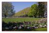 Blumenbeete am Lac d'Annecy (Haute-Savoie)