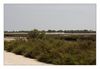 Naturschutzgebiete in Saintes Maries de la Mer (Camargue, Frankreich)