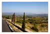 auf der Fahrt nach Gordes und Roussilon, Vaucluse, Provence-Alpes-Côte d’Azur