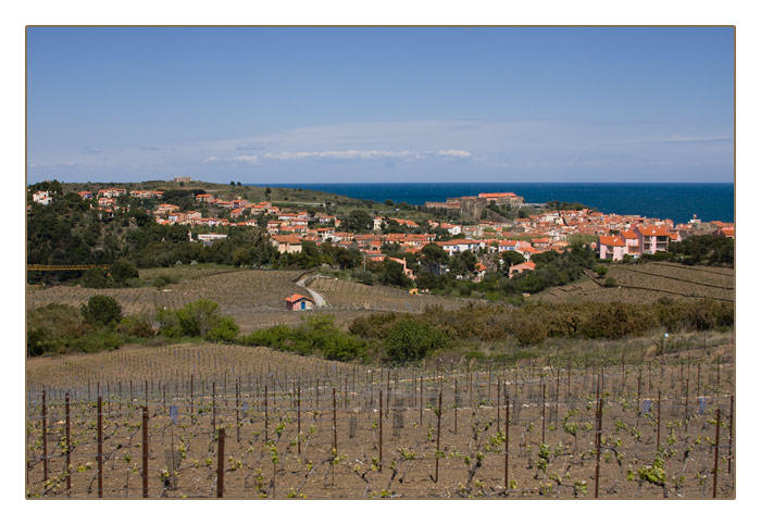 Collioure