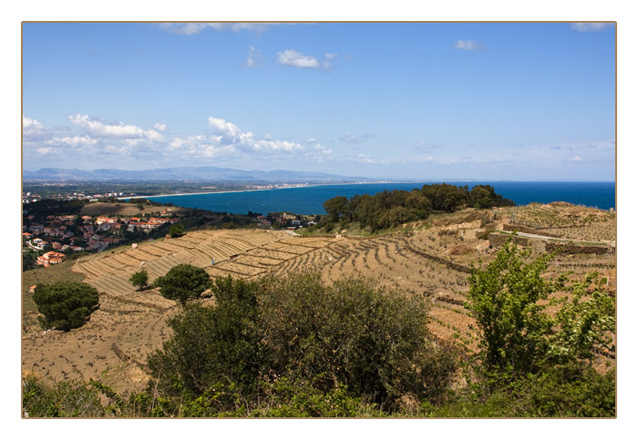 rund um Collioure