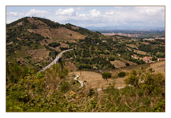 Collioure mit Weinbergen