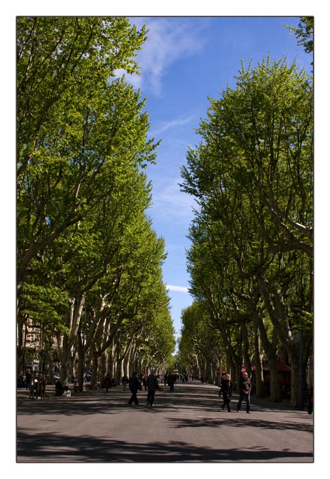 Allée Paul Riquet, Beziers