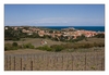 Collioure, unterwegs in die Weinberge mit dem "petit Train"