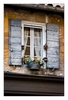 Fensterdekoration in Saint-Rémy-de-Provence