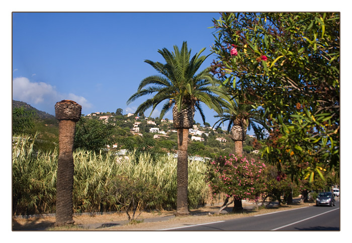 Landschaft bei Le Lavandou - Plage de Cavalière