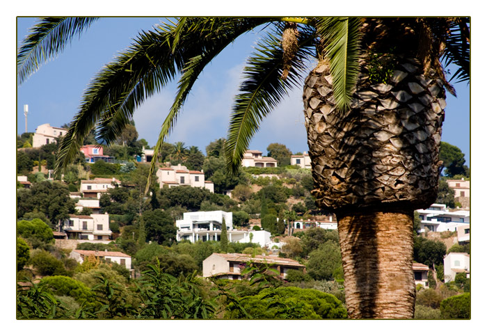 Landschaft bei Le Lavandou - Plage de Cavalière