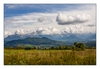 Landschaft bei Mens, Isère, Region Rhône-Alpes, Frankreich