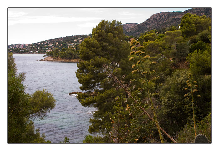 Blick von Cavalière Richtung Le Lavandou