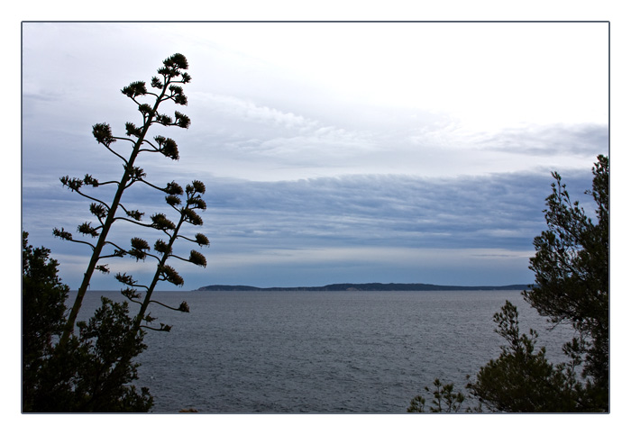 Blick hinüber zu den Îles d’Hyeres