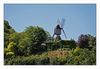 Windmühle an der Loire (während der Fahrt fotografiert)