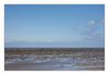 nach Meerestieren Suchende, Passage du Gois von Beauvoir-sur-Merzur zur Insel Noirmoutier