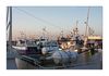 Yachthafen in la Liniere (Ile de Noirmoutier) im Abendlicht