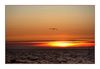 Sonnenuntergang in la Liniere (Ile de Noirmoutier)