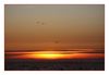 Sonnenuntergang in la Liniere (Ile de Noirmoutier)