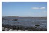 Blick zur Il Madame (Insel Madame) bei Ebbe