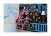 bleue (blau), ein kleiner Shop in Lacanau-Ocean