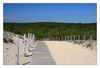 Düne und Strandzugang bei Lacanau-Ocean