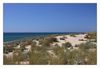 Düne bei Lacanau-Ocean