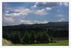 toller Wolkenhimmel irgendwo auf der Strecke (während der Fahrt fotografiert)