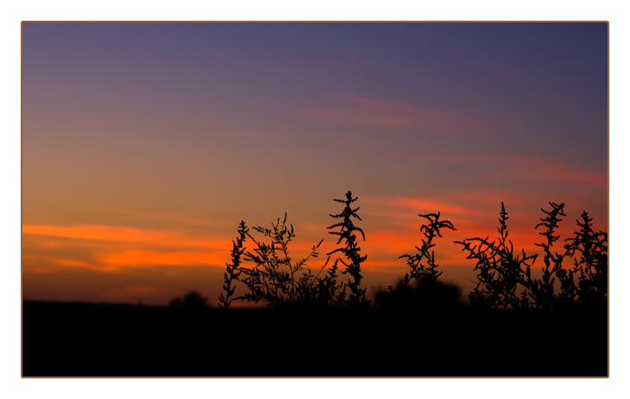 Sonnenuntergang, Côte Sauvage, Halbinsel Quiberon