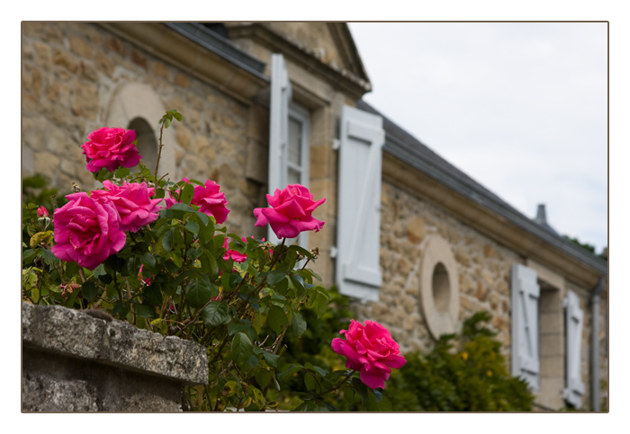 Haus mit Rosen am Chemin du Rohu, Port Navalo, Arzon, Halbinsel Rhuys