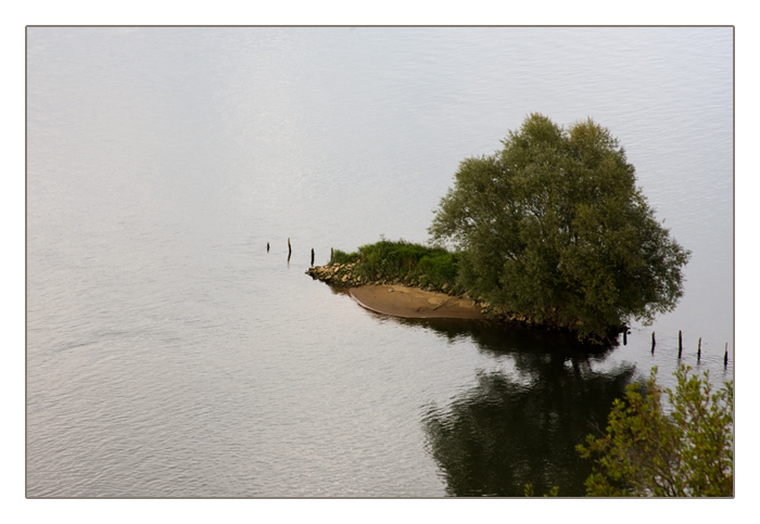 kleine Insel in der Loire, Maine-et-Loire, Pays de la Loire