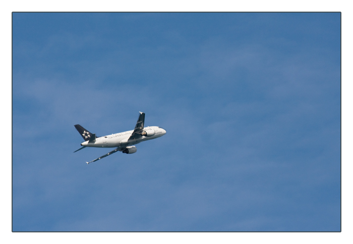 Star-Alliance (Brussels Airlines) Airbus A319-112, OO-SSC