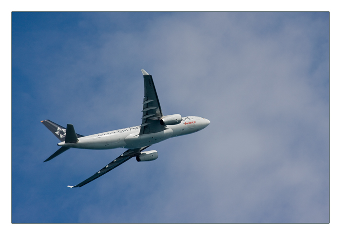 Star-Alliance Avianca Airbus A330-243 N342AV