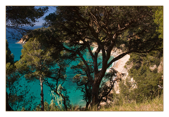 Badebucht bei Cala Llevadó, Tossa de Mar