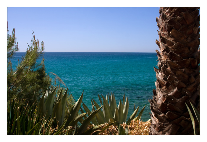 Blick zwischen Agaven aufs Meer, Cala Llevadó,